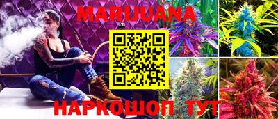 индика Мариинск