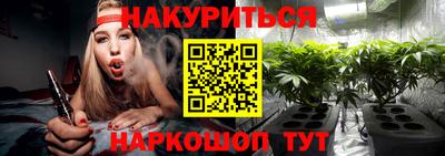 индика Мариинск