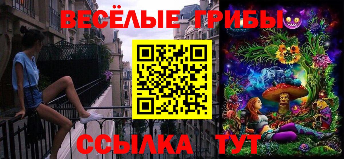 Узловая  Псилоцибиновые грибы MAGIC MUSHROOMS  Вход с VPN 