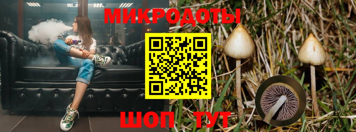 Галлюциногенные грибы Magic Shrooms Узловая